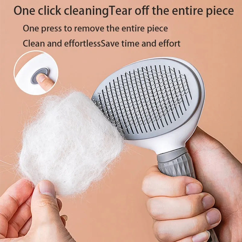 Hair Remover Brush