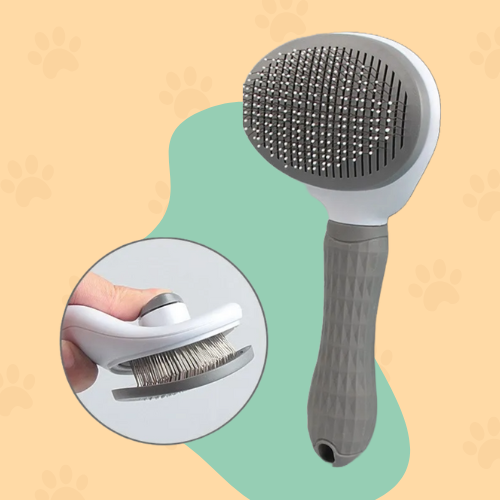 Hair Remover Brush