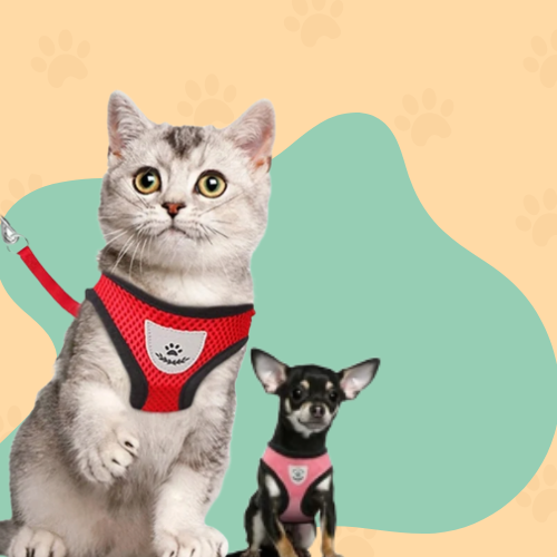 Pet Harness